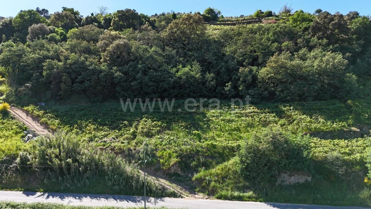 Terreno para Venda em Barqueiros Foto 6