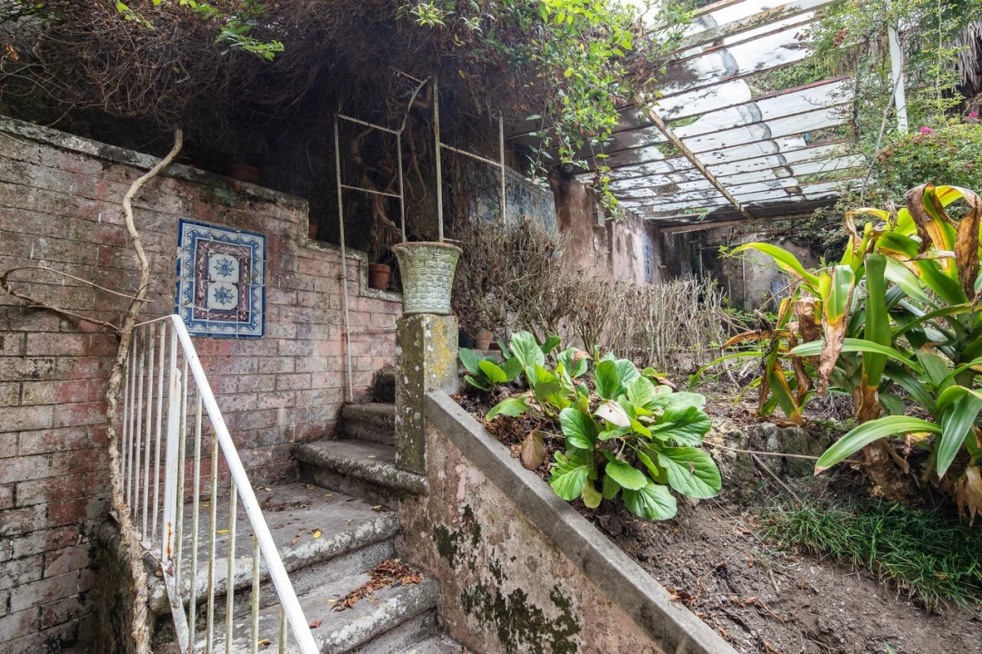 Moradia T10 para Venda em Santa Maria e São Miguel, São Martinho, São Pedro Penaferrim Foto 33