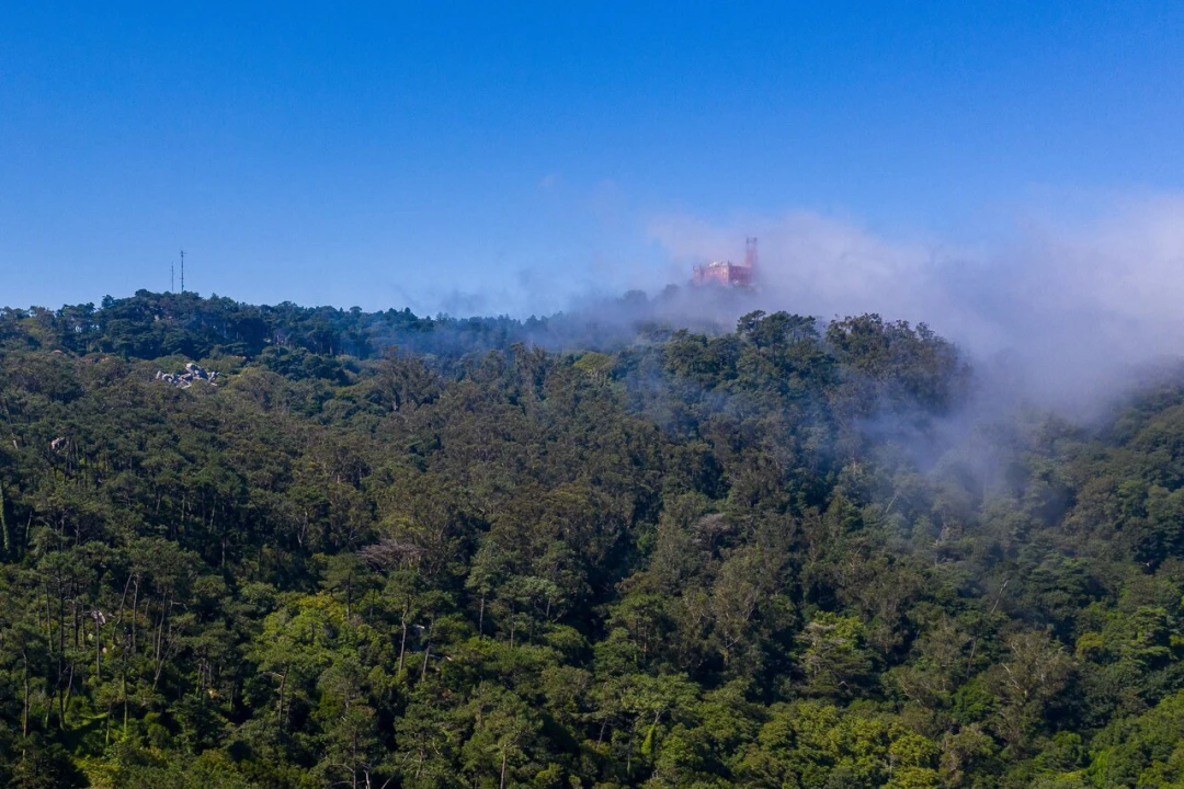 Moradia T10 para Venda em Santa Maria e São Miguel, São Martinho, São Pedro Penaferrim Foto 36