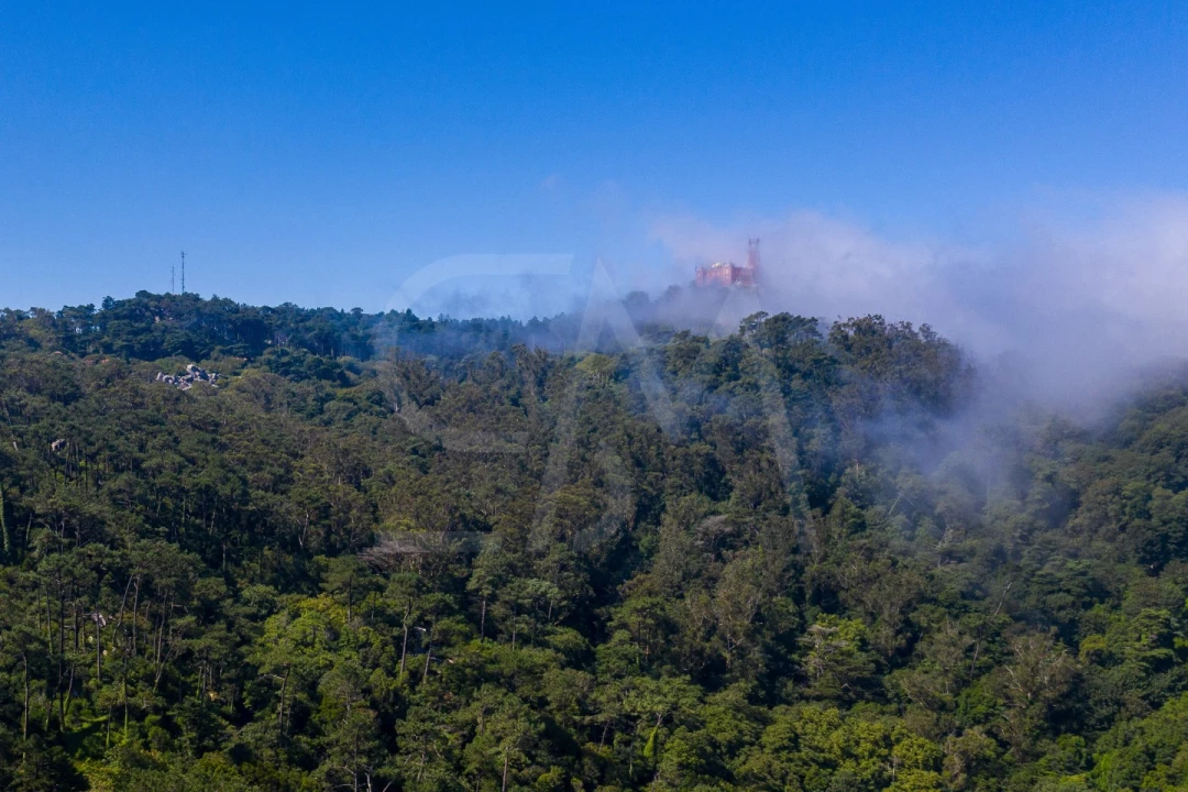 Moradia T10 para Venda em Santa Maria e São Miguel, São Martinho, São Pedro Penaferrim Foto 36