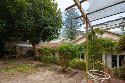 Moradia T10 para Venda em Santa Maria e São Miguel, São Martinho, São Pedro Penaferrim