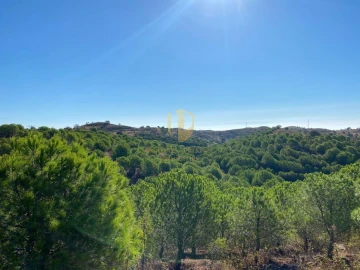 Terreno para Venda em Vila Nova de Cacela