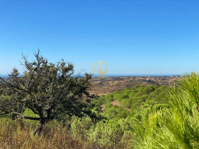 Terreno para Venda em Vila Nova de Cacela Foto 17