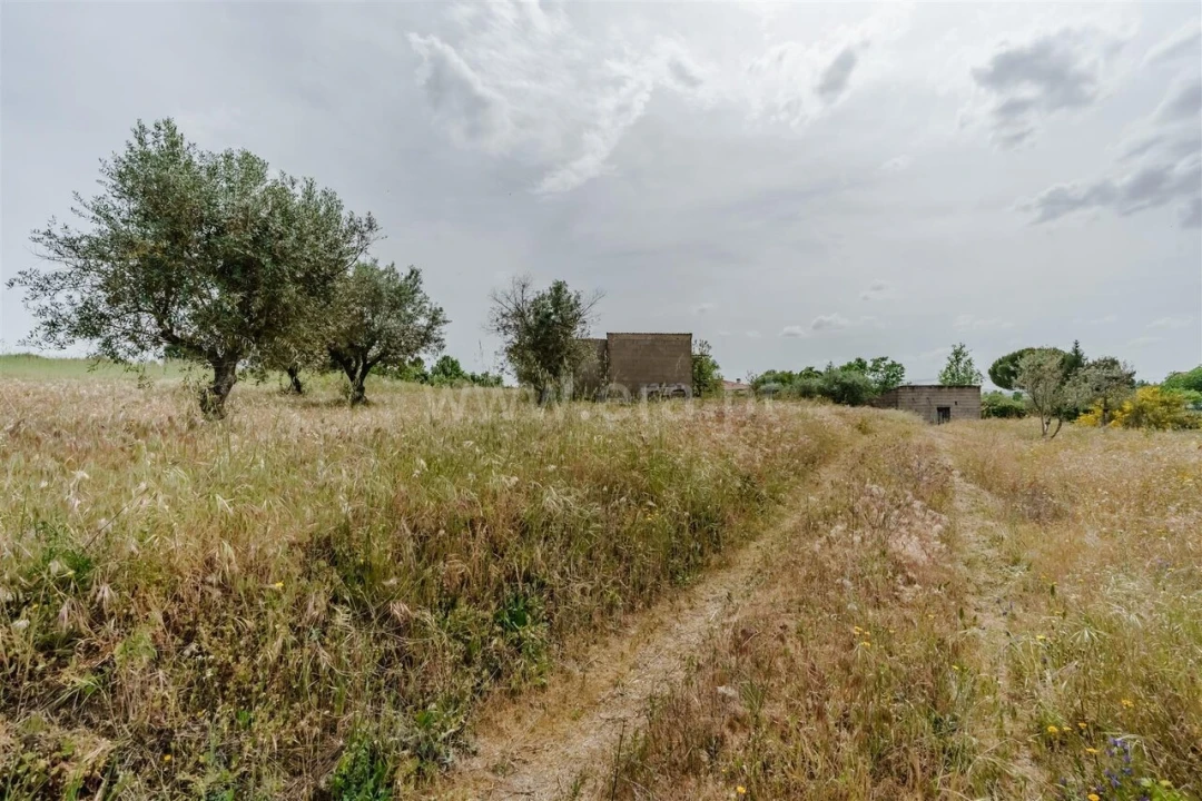 Terreno para Venda em Caria Foto 13
