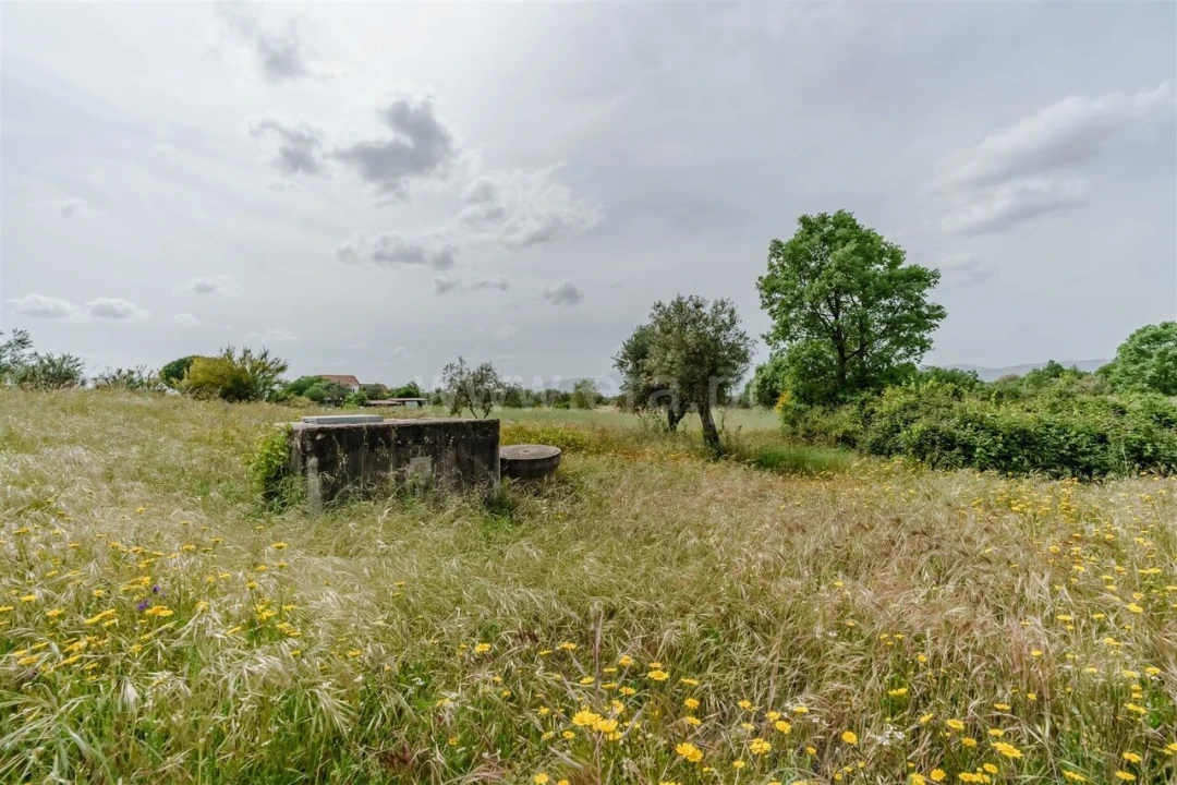Terreno para Venda em Caria Foto 16