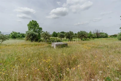 Terreno para Venda em Caria