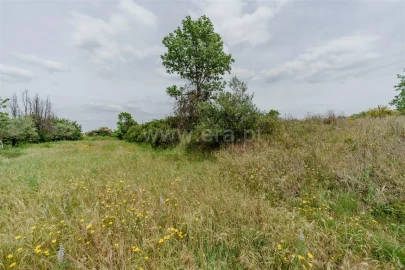 Terreno para Venda em Caria