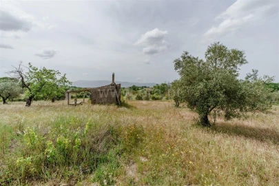 Terreno para Venda em Caria