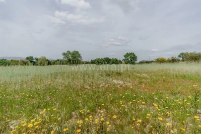 Terreno para Venda em Caria