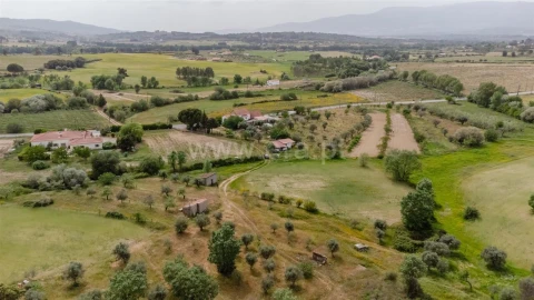 Terreno para Venda em Caria