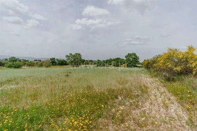 Terreno para Venda em Caria