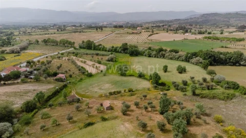 Terreno para Venda em Caria