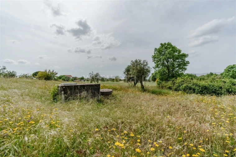Terreno para Venda em Caria Foto 16