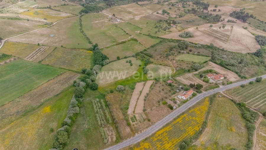 Terreno para Venda em Caria Foto 20