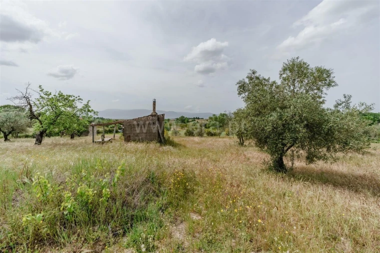 Terreno para Venda em Caria Foto 12