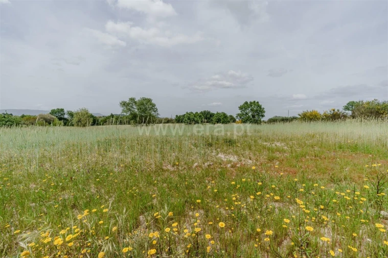 Terreno para Venda em Caria Foto 6