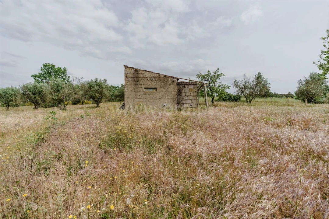 Terreno para Venda em Caria Foto 9