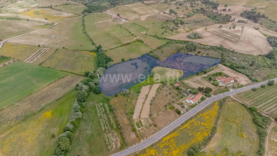 Terreno para Venda em Caria