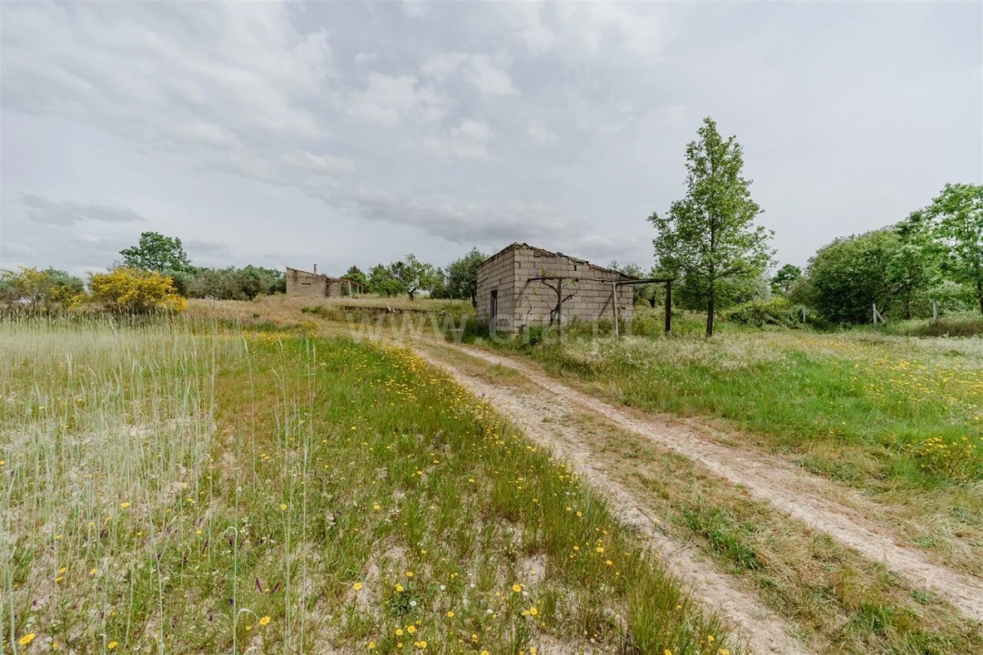 Terreno para Venda em Caria Foto 5