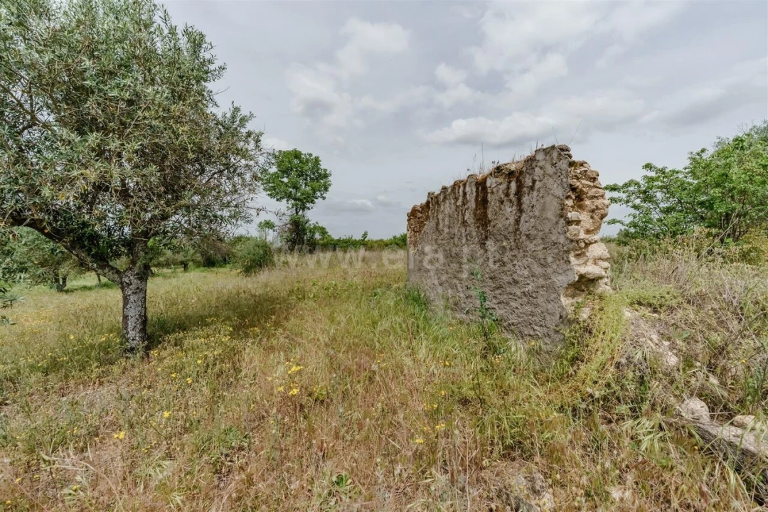 Terreno para Venda em Caria Foto 19