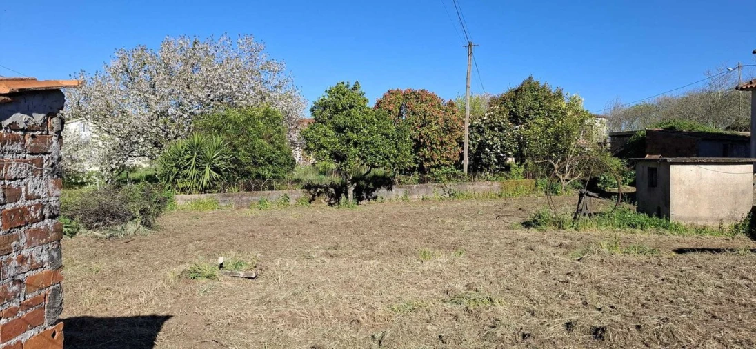 Moradia T5 para Venda em Beco Foto 34