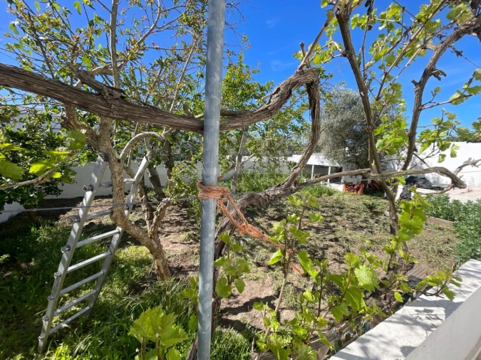 Moradia T5 para Venda em Ermidas-Sado Foto 35