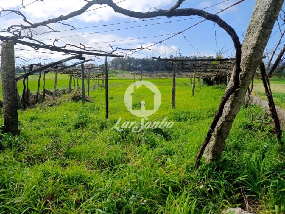 Terreno Agricola ou Rústico para Venda em Cristelo Foto 1