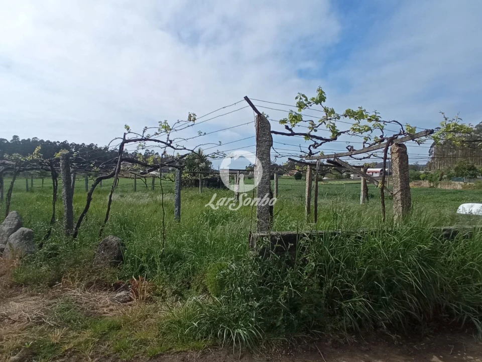 Terreno Agricola ou Rústico para Venda em Cristelo Foto 2