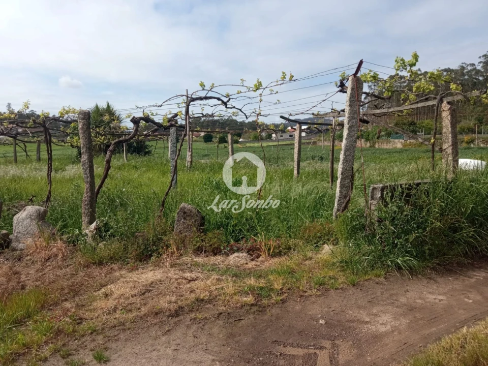 Terreno Agricola ou Rústico para Venda em Cristelo Foto 3