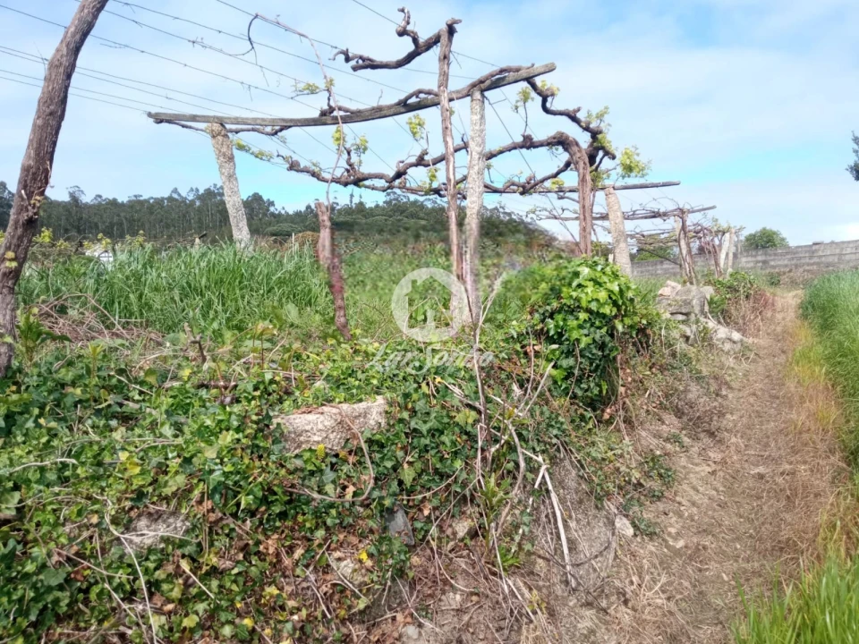 Terreno Agricola ou Rústico para Venda em Cristelo Foto 6