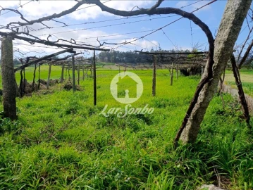 Terreno Agricola ou Rústico para Venda em Cristelo