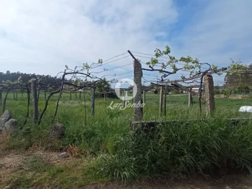 Terreno Agricola ou Rústico para Venda em Cristelo