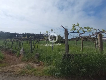 Terreno Agricola ou Rústico para Venda em Cristelo