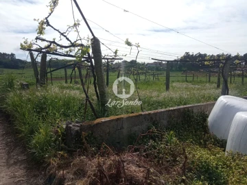 Terreno Agricola ou Rústico para Venda em Cristelo