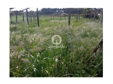 Terreno Agricola ou Rústico para Venda em Cristelo