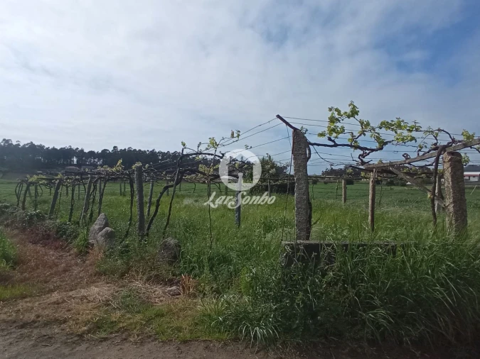 Terreno Agricola ou Rústico para Venda em Cristelo Foto 4