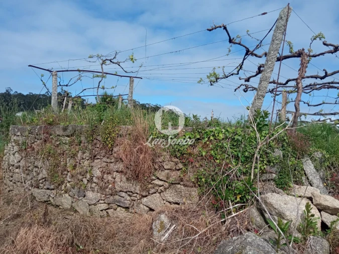 Terreno Agricola ou Rústico para Venda em Cristelo Foto 7