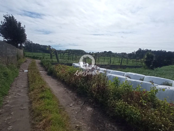 Terreno Agricola ou Rústico para Venda em Cristelo Foto 10