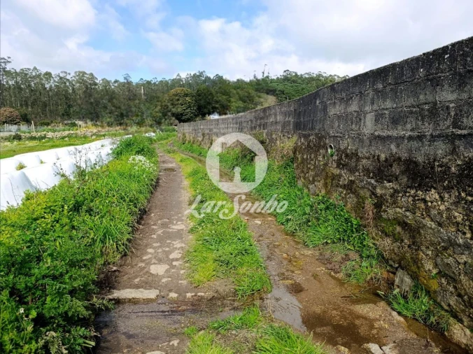Terreno Agricola ou Rústico para Venda em Cristelo Foto 11