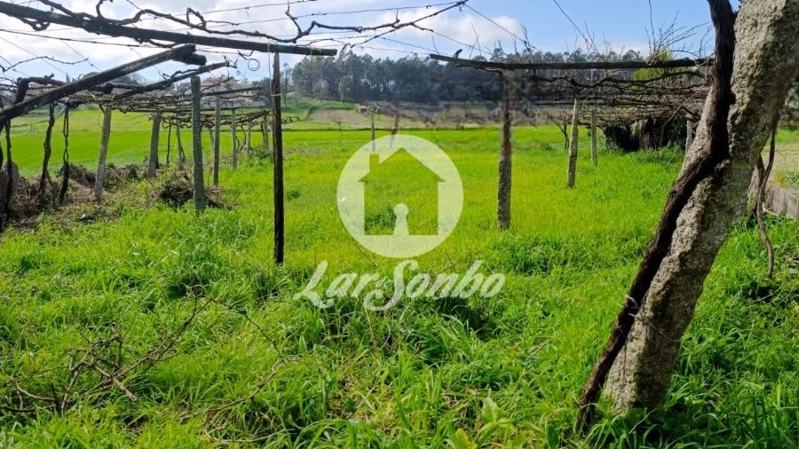 Terreno Agricola ou Rústico para Venda em Cristelo