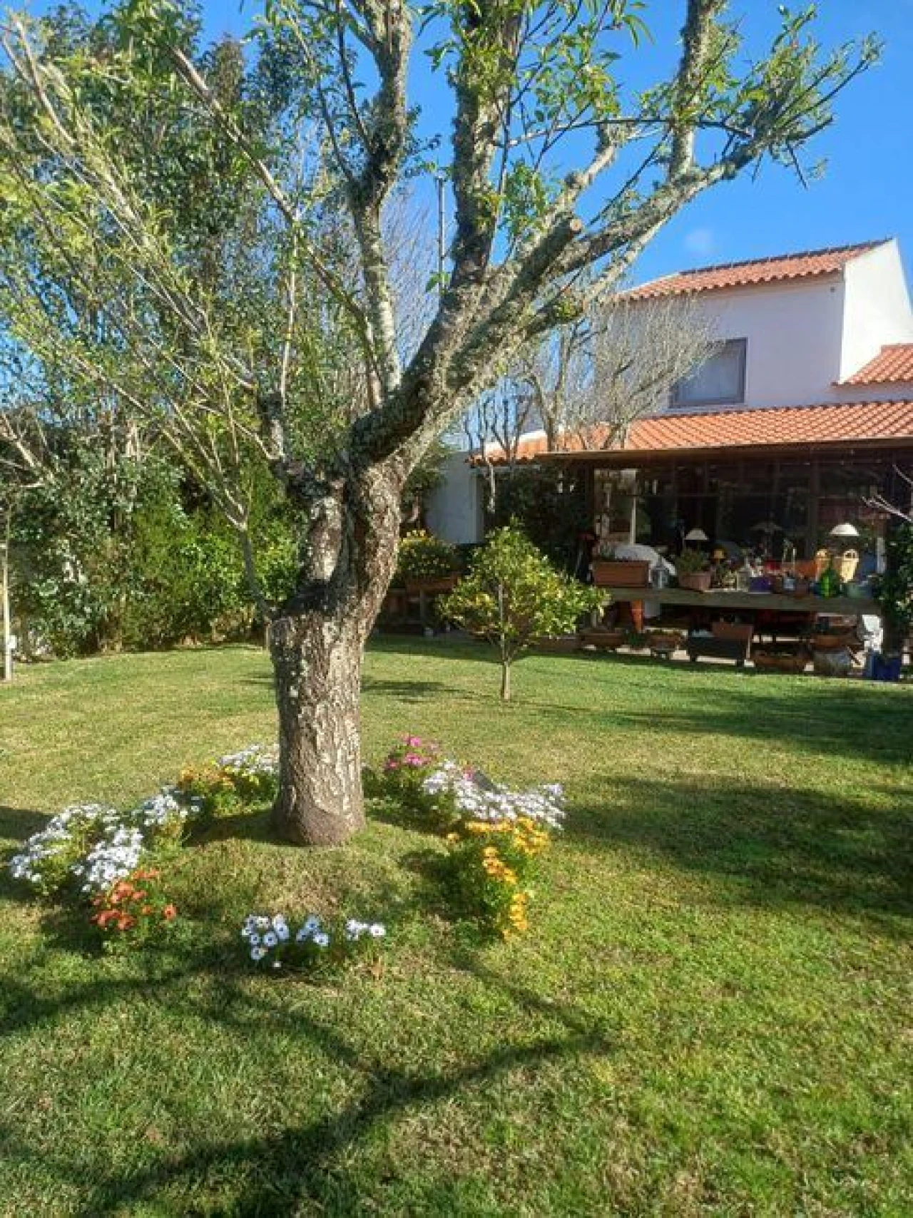 Moradia T2 para Venda em Colares Foto 9