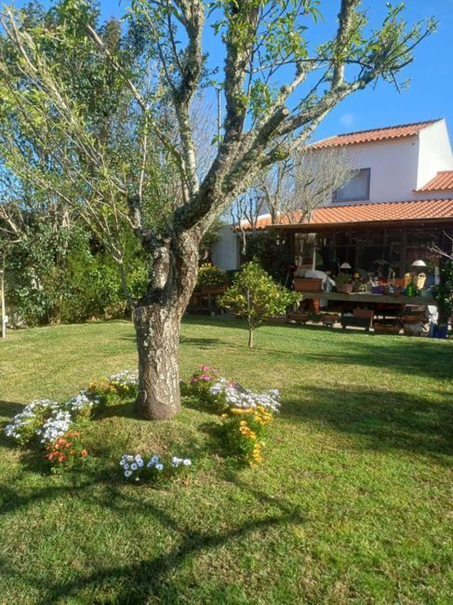 Moradia T2 para Venda em Colares Foto 9