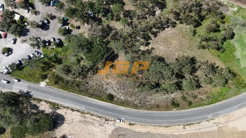 Terreno para Venda em Tornada e Salir do Porto