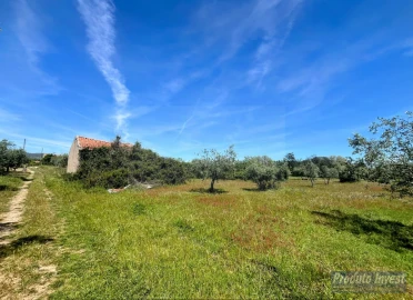 Terreno para Venda em Póvoa de Atalaia e Atalaia do Campo