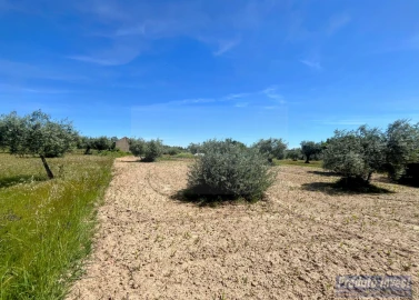 Terreno para Venda em Póvoa de Atalaia e Atalaia do Campo