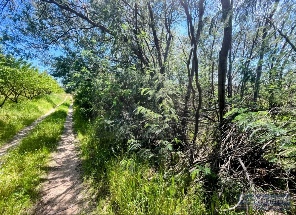Terreno para Venda em Póvoa de Atalaia e Atalaia do Campo Foto 10