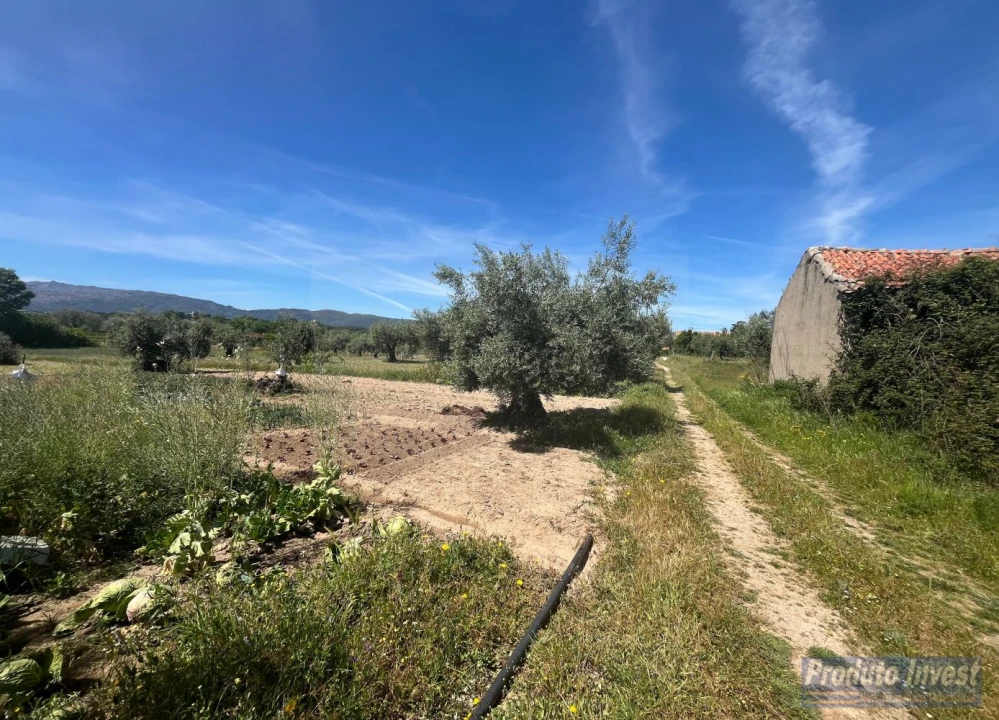 Terreno para Venda em Póvoa de Atalaia e Atalaia do Campo Foto 8