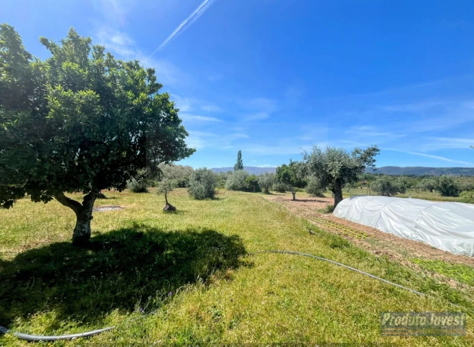 Terreno para Venda em Póvoa de Atalaia e Atalaia do Campo Foto 17