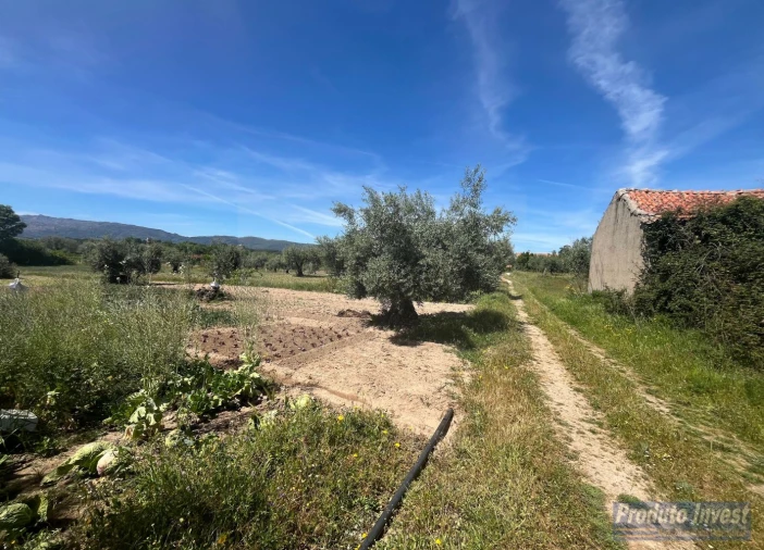 Terreno para Venda em Póvoa de Atalaia e Atalaia do Campo Foto 8