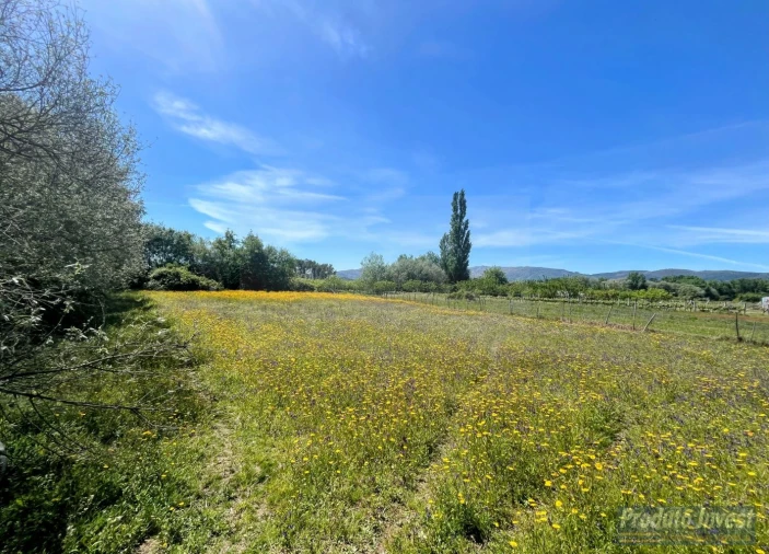 Terreno para Venda em Póvoa de Atalaia e Atalaia do Campo Foto 7